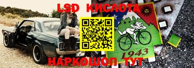 Альфа ПВП Будённовск