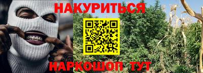 Альфа ПВП Будённовск