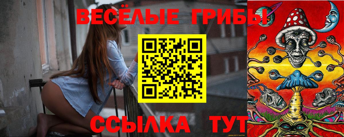 Первоуральск  Псилоцибиновые грибы MAGIC MUSHROOMS  Вход с VPN  купить  цена  Галлюциногенные грибы мицелий 